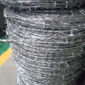 ประเภท Stranded Wire Barbed Wire แรงดึงสูง